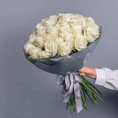Белые розы «Серебряное сияние»