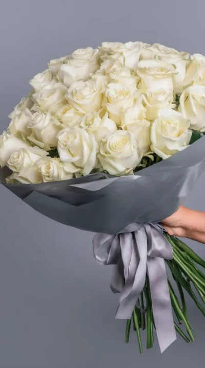 Белые розы «Серебряное сияние»