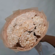 Кремовые диантусы (7 шт)